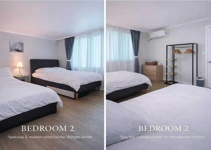 Comfy & Cozy Apartment